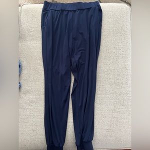 Lisa Rinna Blue jogger pants
